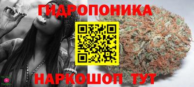 ПСИЛОЦИБИНОВЫЕ ГРИБЫ Сланцы