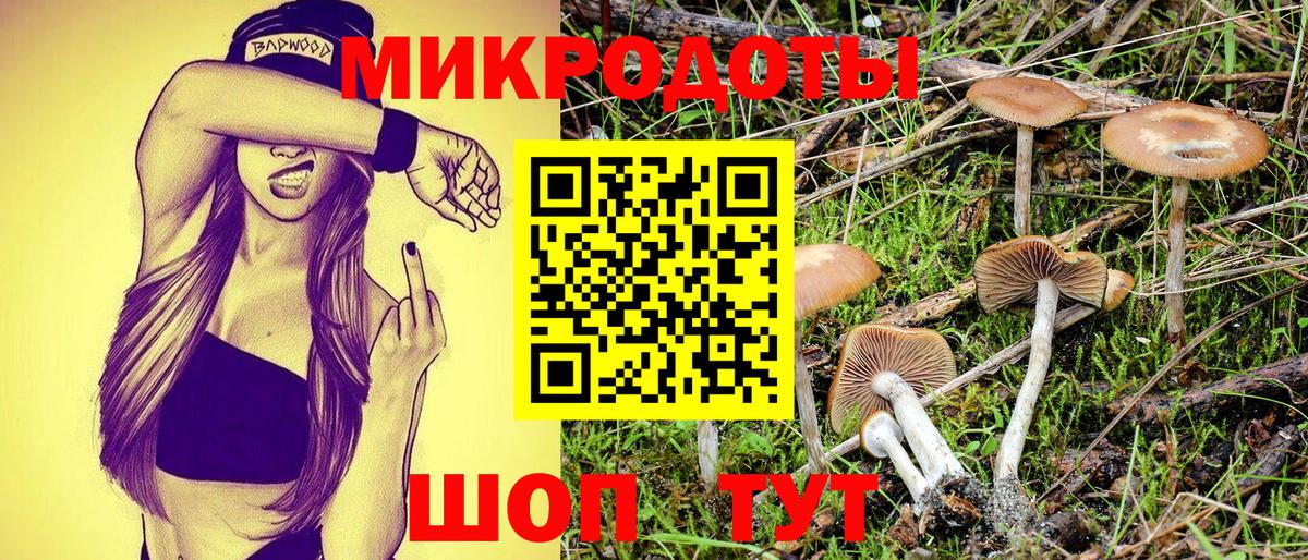 Оренбург  Псилоцибиновые грибы прущие грибы  Галлюциногенные грибы ЛСД  Вход с VPN 