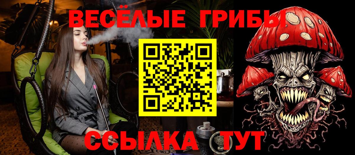 Галлюциногенные грибы Cubensis Оренбург
